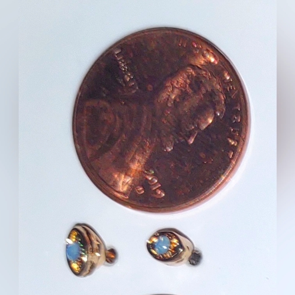 Hypoallergenic Earring #2